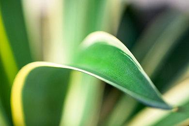 《黑神话》让国外玩家喜欢上悟空 于是打开了《功夫之王》